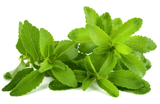 Beneficios de la estevia para la microbiota de tu piel