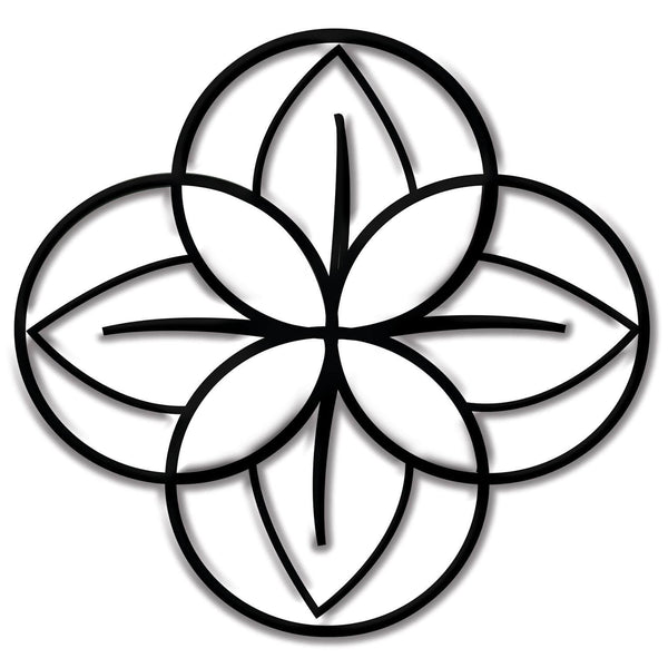 Xilema Productos Magnetizados®